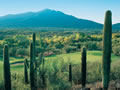 Phoenix Golf Vacation