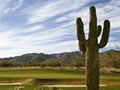 Arizona Golf Courses: Verrado Golf Club