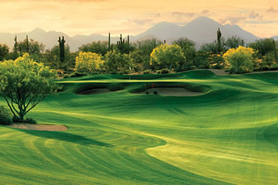 Phoenix Golf